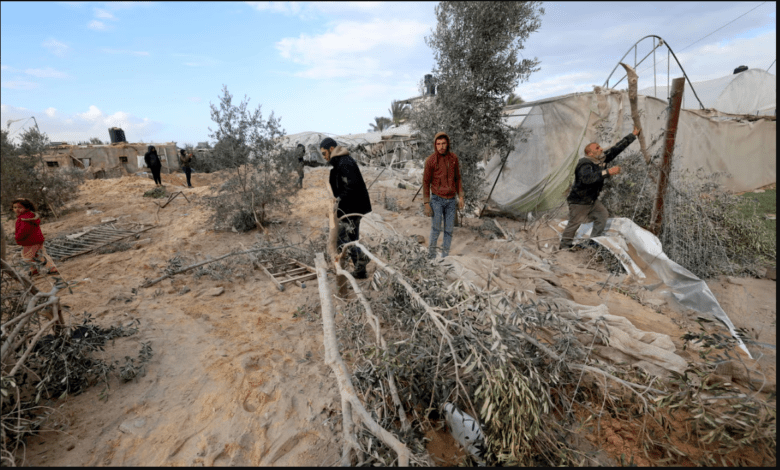 اکوساید در غزه: آیا تخریب محیط زیست جنایت جنگی&nbsp;است؟