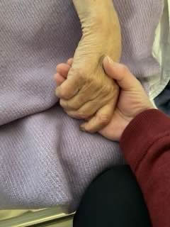 دست‌هایش؛ یادی از دکتر ناصر پاکدامن – فرشین&nbsp;کاظمی‌نیا