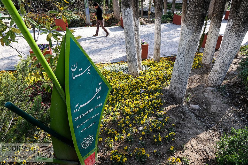 تجاوز به حریم پارک&nbsp;قیطریه؟