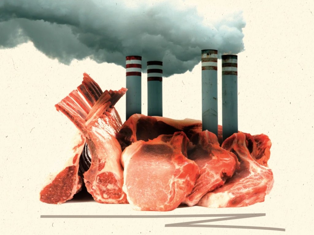 بهای گزاف یک ظرف&nbsp;گوشت