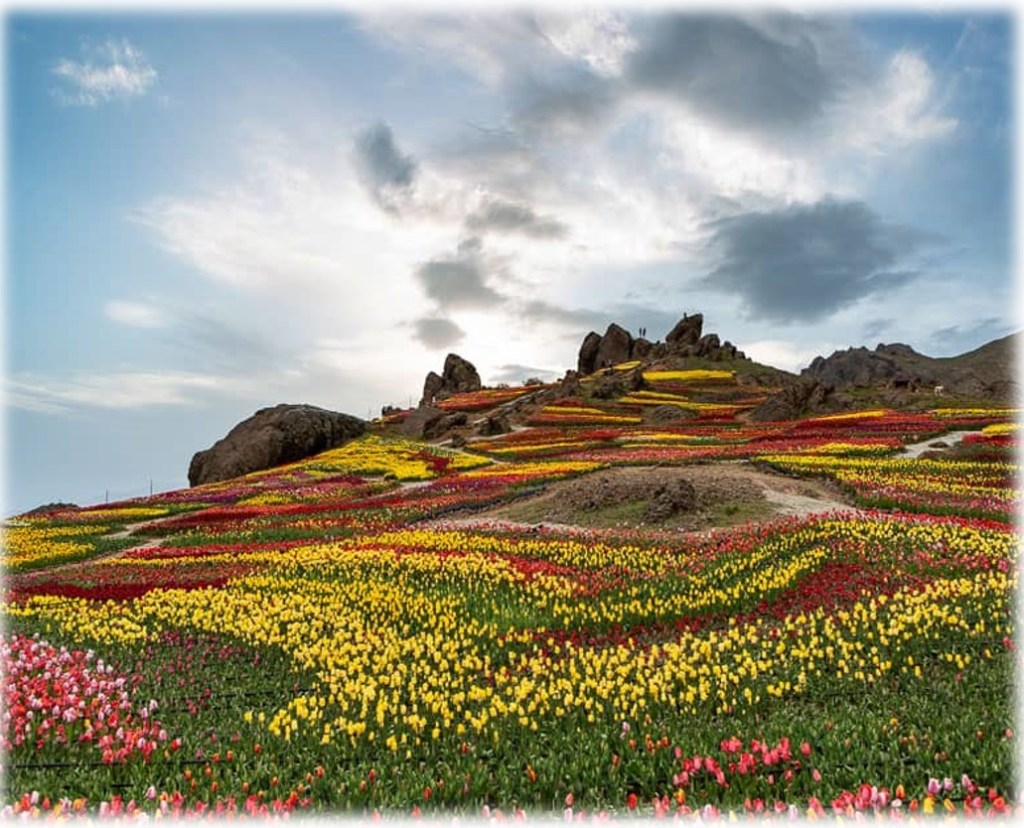 نوروز مبارک باد!