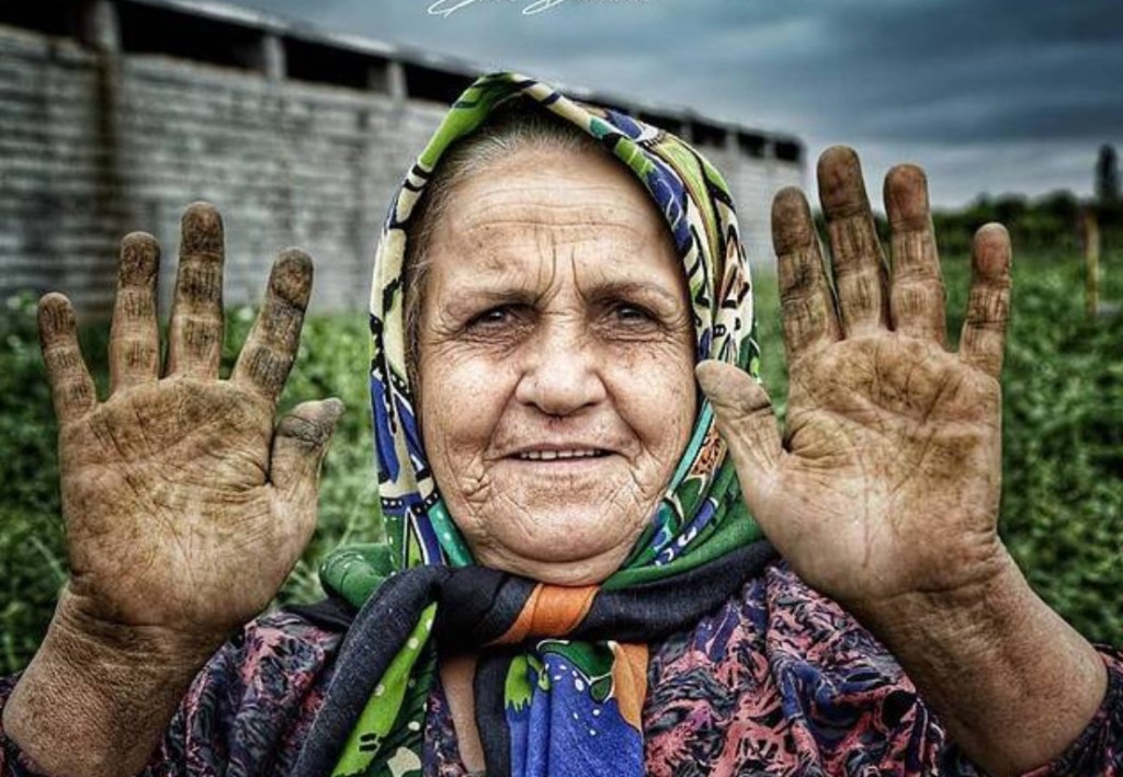 نقش زنان در مبارزه علیه نابرابری های جنسیتی در بازار&nbsp;کار