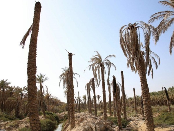 هجوم به معادن و منابع طبیعی را در دستورِ کار خود قرار داده&nbsp;اند!